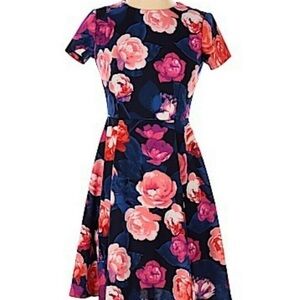 Eliza J Floral Dress- Size 4P